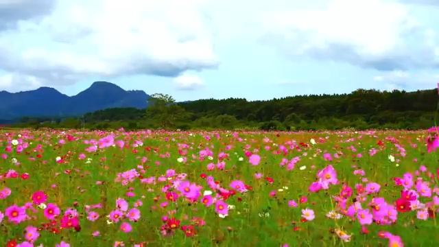 Красивая расслабляющая музыка избавляющая от стресса