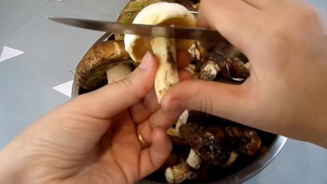 Как почистить и заморозить лесные грибы.