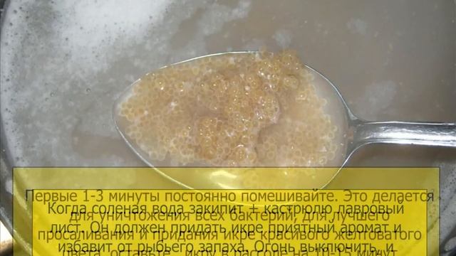 Как засолить рыбную икру в домашних условиях