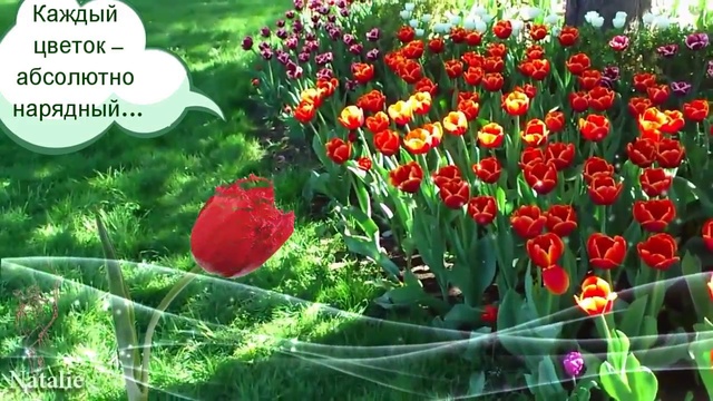 Красивая музыка Secret Garden -- Adagio