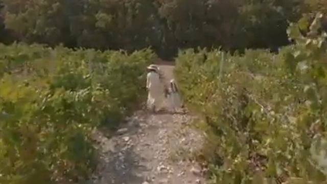 Ксения Мон Сор _ реклама