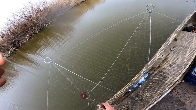 рыбалка на хапуги бешеный клёв