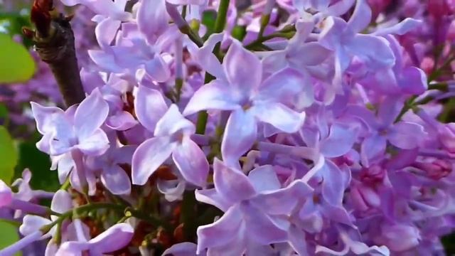 ОСЕНЬ  Автор и исполнитель  Анатолий Кулагин
