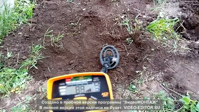 Металлоискатель GARRETT ACE 200 i