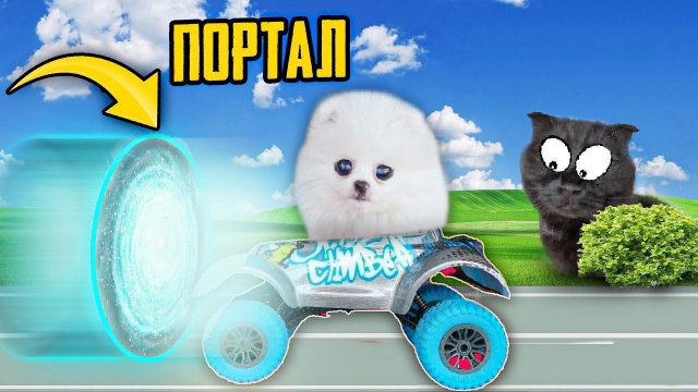 Собачка Шанелька попала в РЕАЛЬНУЮ СКАЗКУ ! *Параллельный мир СУЩЕСТВУЕТ* !!! СПАСЕНИЕ ЖИВОТНЫХ!