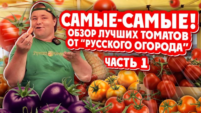 САМЫЕ-САМЫЕ! Обзор Лучших томатов от "Русского Огорода" Часть1