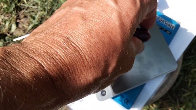 ВИНОГРАД СЕЛЕКЦИИ КАЛУГИНА В.М.- ДНЕПРОВСКИЙ СУВЕНИР.