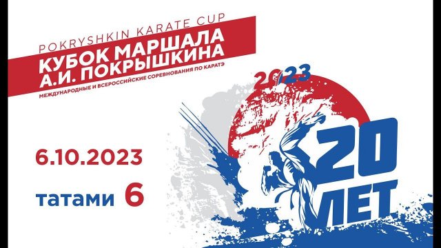 20-е Международные и всероссийские соревнования по каратэ «Кубок маршала А. И. Покрышкина». Татами 6