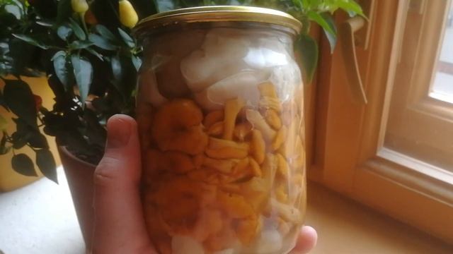 Крышка на банке с грибами вздулась. Что делать?