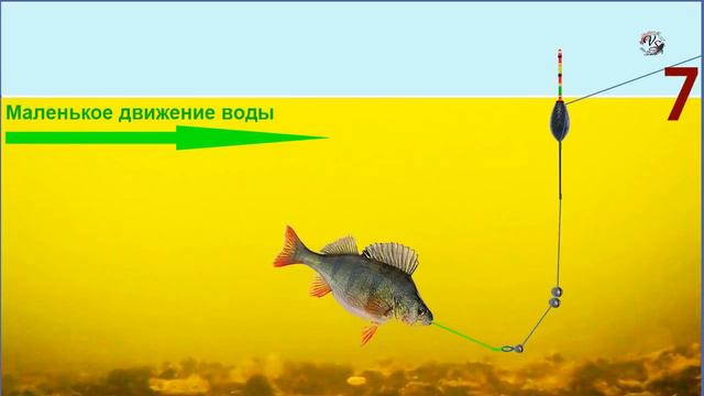 ПОКЛЕВКИ на поплавок. Ловля в проводку, огрузка снасти, подпасок, выставление глубины. рыбалка fish