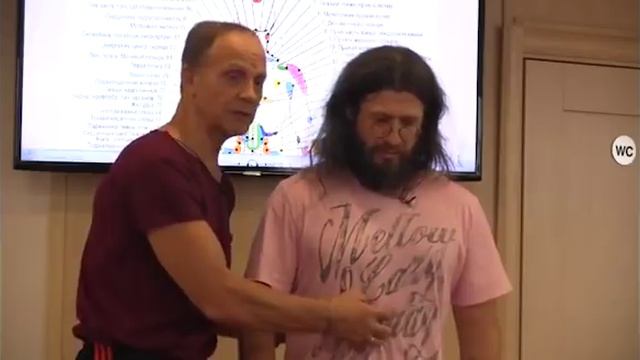 Висцеральный самомассаж - Огулов Александр Тимофеевич (2016)