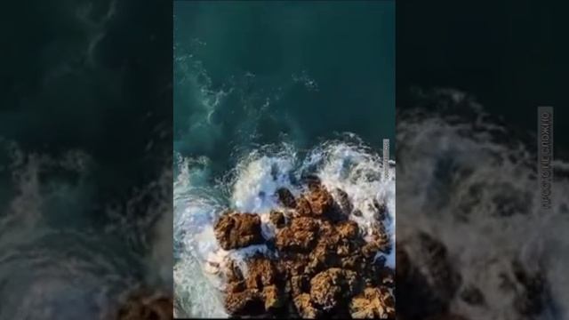 Мудрые мысли, цитаты о жизни и любви