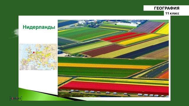 11-класс |  География |  Регионы Зарубежной Европы
