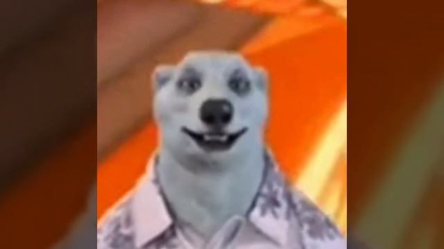 серёжа.mp4