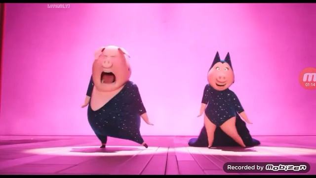 ЗВЕРОПОЙ ТАНЕЦ СВИНИНЫ HD