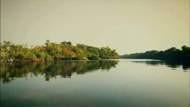 Амазонка плавающий лес. Неизведанные острова. Discovery Channel