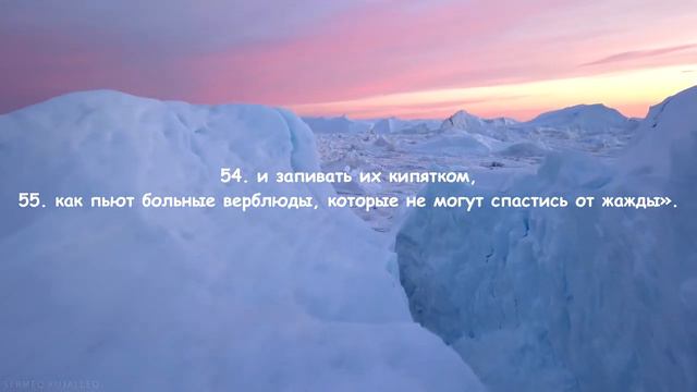 Красивое чтение Коран ислам субхи |событие