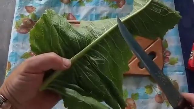Лист хрена- лучшее лекарство!!! И всегда под рукой. (Рубрика Здоровье)