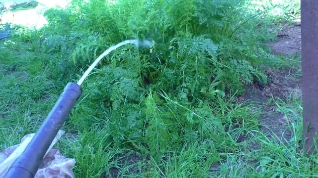 Ищем возможные причины неполадки мойки stihl re 128. Часть 2. Быть может дело в воде