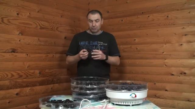 Сушим чернослив ДОМА