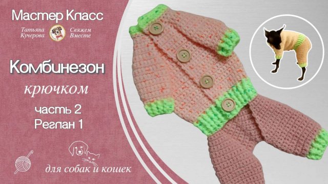 Как связать Комбинезон для собаки и кошки крючком, часть 1