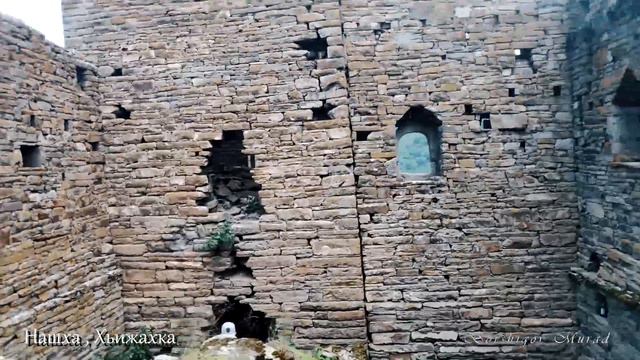 В Нашха после самоизоляции. Галанчажский район, Чеченской Республики.