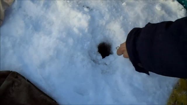 Как ловить плотву в феврале! Ловля плотвы на мормышку, рыбалка в глухозимье