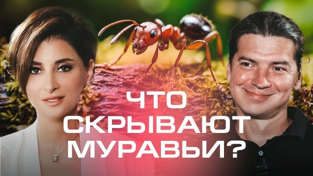 Матриархат, социализм, корпус янычар. Данила Горюнов о муравьях