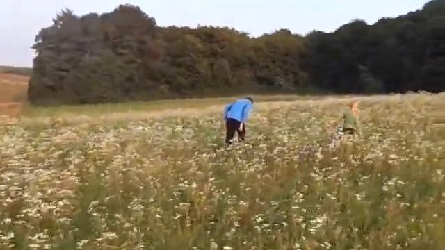 Поездка в Ивано -Франковскую область.  Прогулка по лесу.
