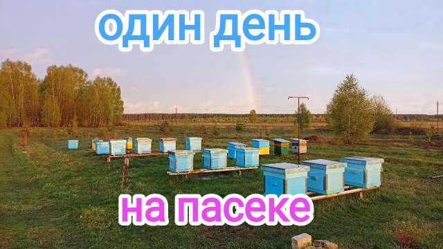 3 мая на пасеке. Пчеловодство!