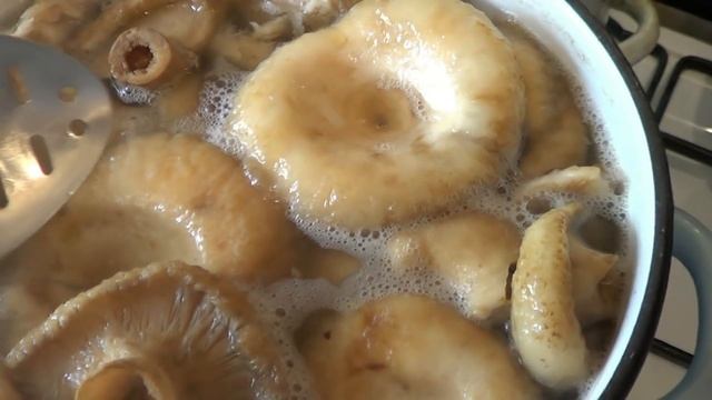 Как засолить грузди по быстрому