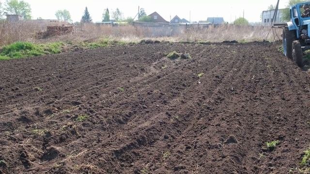 Вспашка огорода Трактором Т-40. 4K