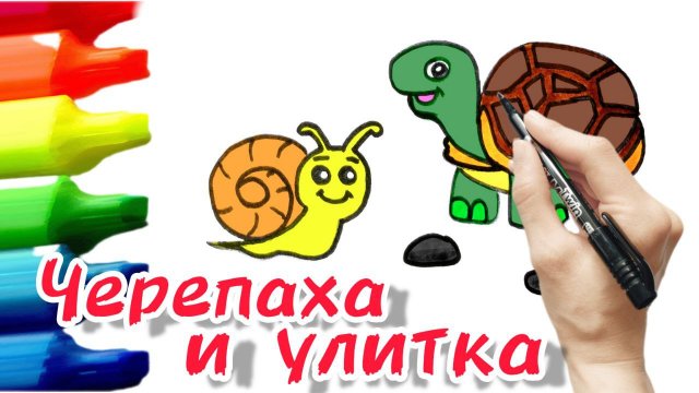Как нарисовать черепаху и улитку