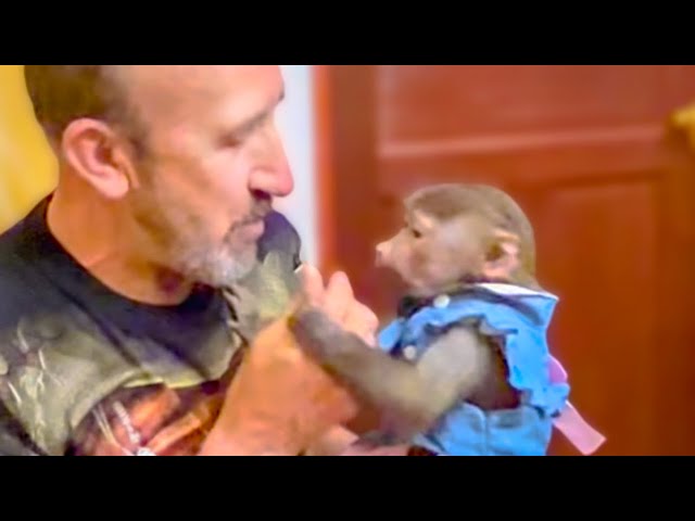 Влад забрал у Люси ее любимые палочки и БЫСТРО ЕСТ, Люся не успевает отобрать)))