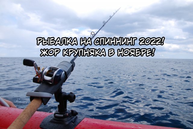 РЫБАЛКА НА СПИННИНГ 2022! ЖОР КРУПНЯКА В НОЯБРЕ!