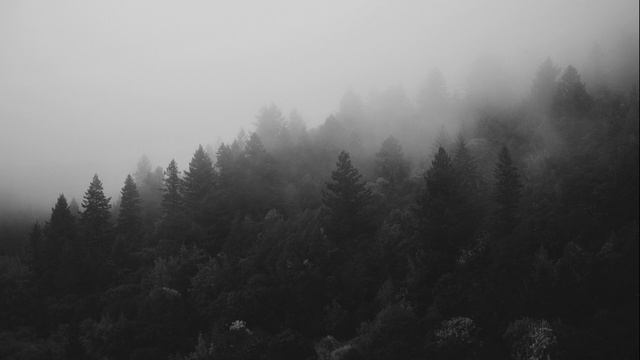 Black Metal Drum Loop 166 BPM (Blast Beat)