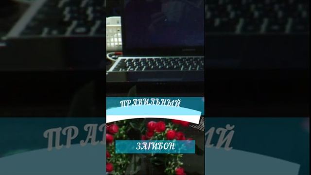 #Shorts Правильный ЗАГИБОН