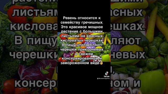 Большая поваренная книга 33