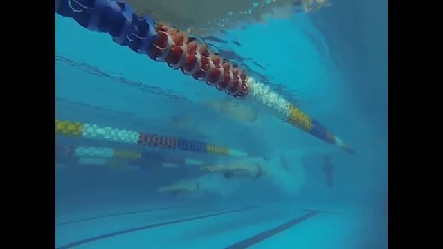 Тренировочный процесс