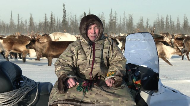 Счастливый как никто. Оленные люди | Ясавэй. Кочевник ХХI века