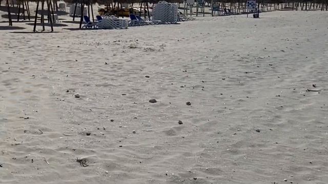 BLAU VARADERO 4* 18+ ОБЗОР 2023 ГОДА. ОТЕЛЬ, КУДА ВЫ ЗАХОТИТЕ ВЕРНУТЬСЯ.