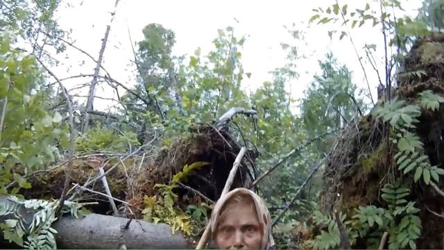 Вебинар по поиску людей от отряда Лиза-Алерт