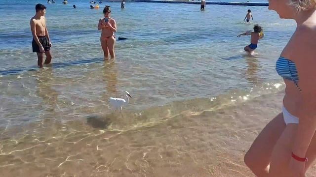 Египет в Январе, Шарм-эль-Шейх ? Cataract Layalina 3☆ Обзор отеля первый день!?