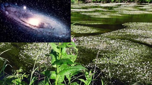 Высшее Предназначение человека во вселенной!