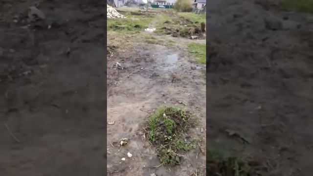 село боголюбова  холм-жирковского  смоленского  р-он