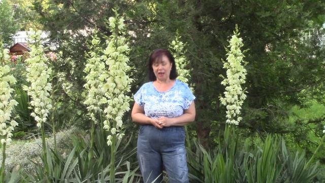 Юкка.mp4