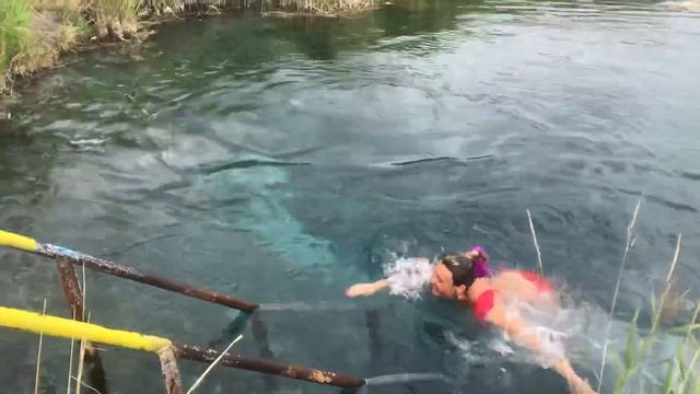 Пономаревский источник , моржи Оренбург