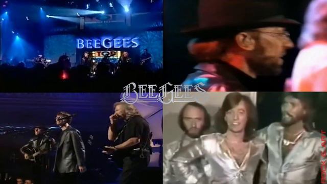 BEE GEES: MAN IN THE MIDDLE (LIVE - COMPARISON)