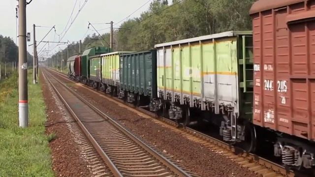 Изучаем поезда и железнодорожный транспорт  Железная дорога для детей
