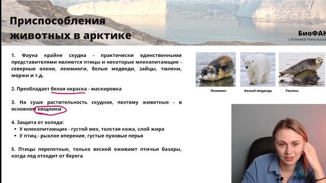 Адаптации животных | Биология ЕГЭ — Напольская Ксения